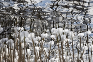 Fantasiekopie 1200x800 1