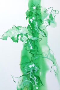 20240702 091841.jpg mariadistel