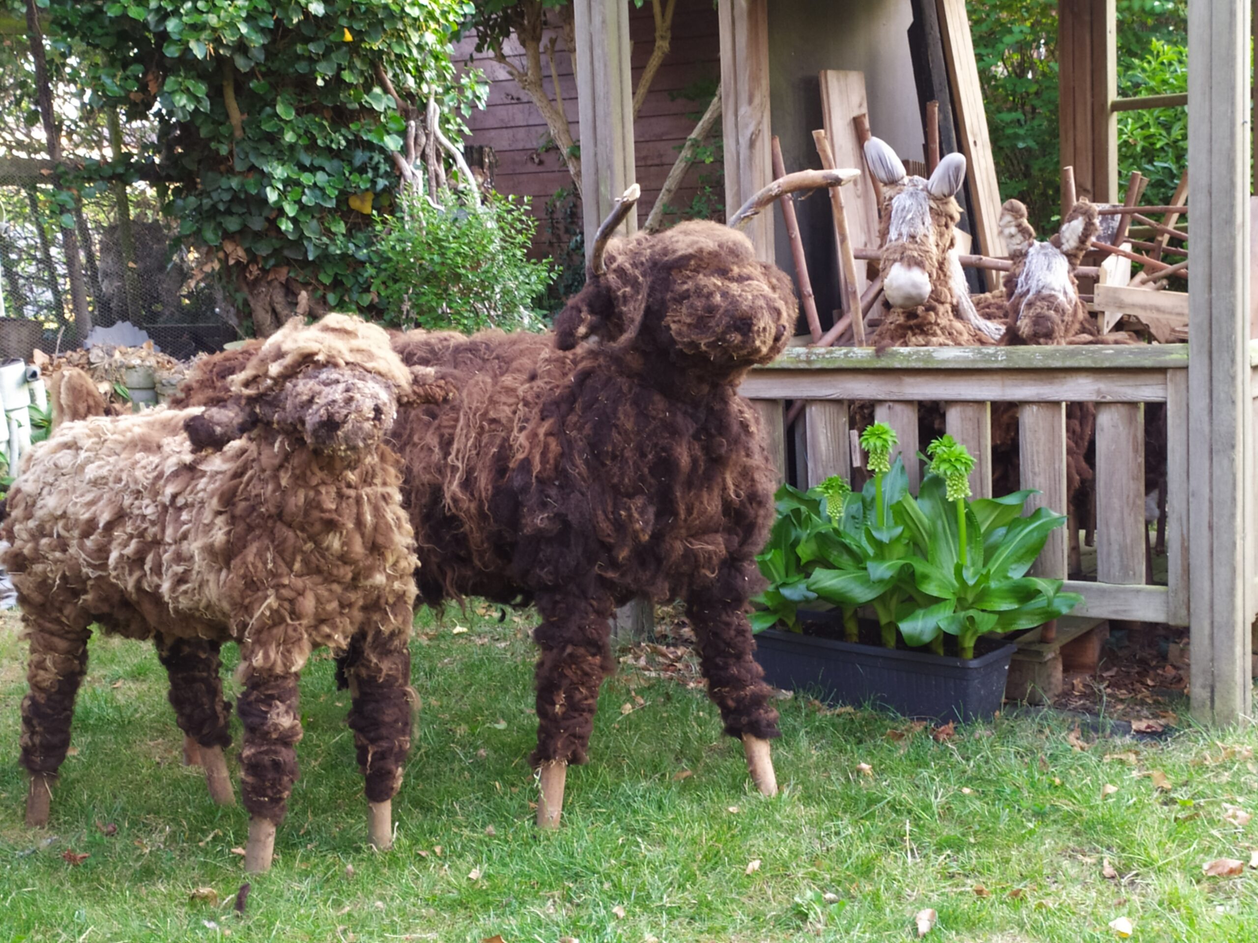 1753019245902 scaled 1