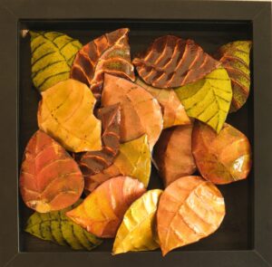 Beukenblad Mariet Lohman bijgesneden